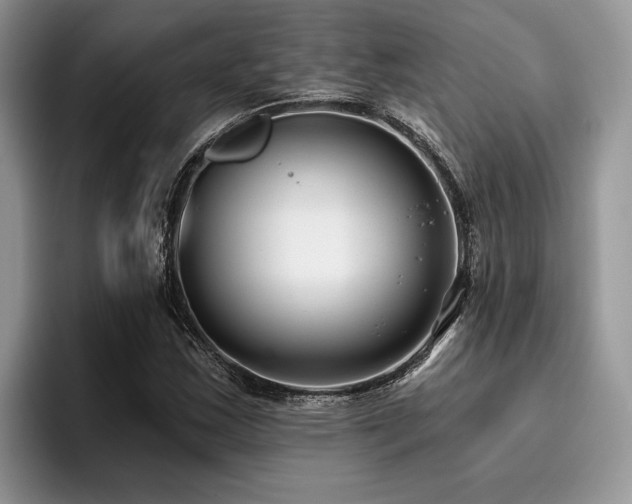 X0000096211163200801181424