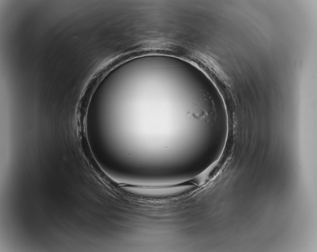 X0000096211164200801181424