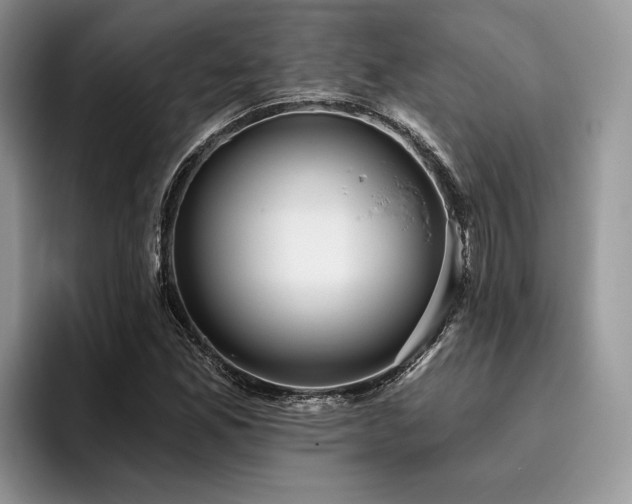 X0000096211165200801181424