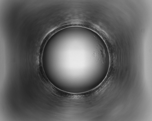 X0000096211166200801181424