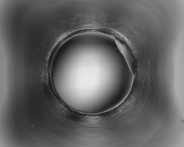 X0000096211168200801181424