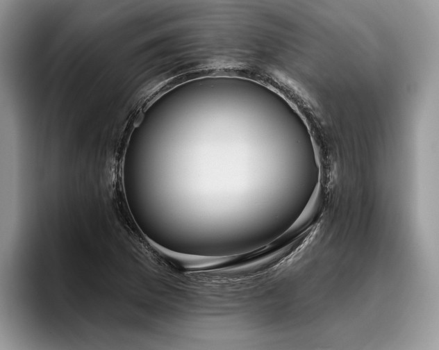 X0000096211169200801181424