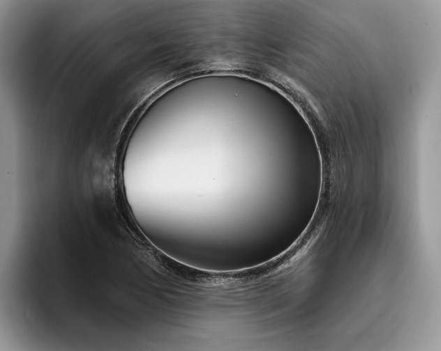 X0000096211170200801181424