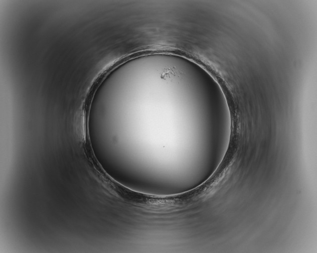 X0000096211171200801181424