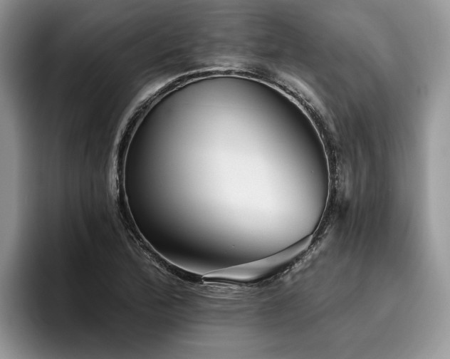X0000096211172200801181424