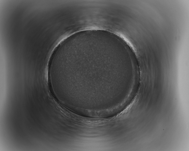 X0000096211173200801181424