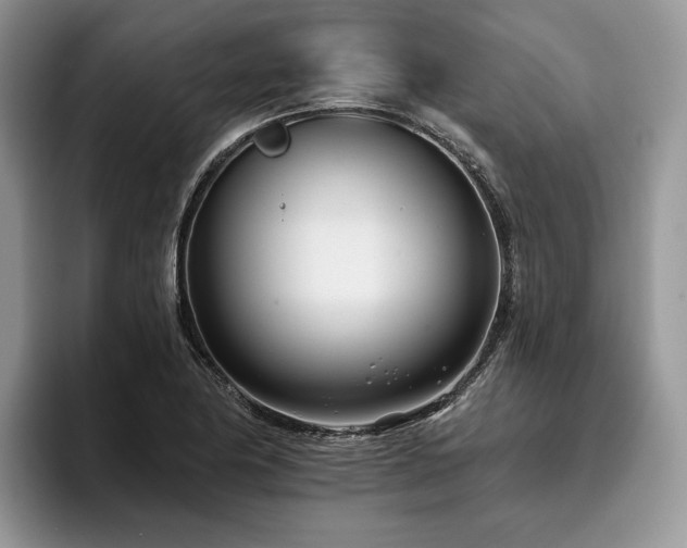 X0000096211174200801181424