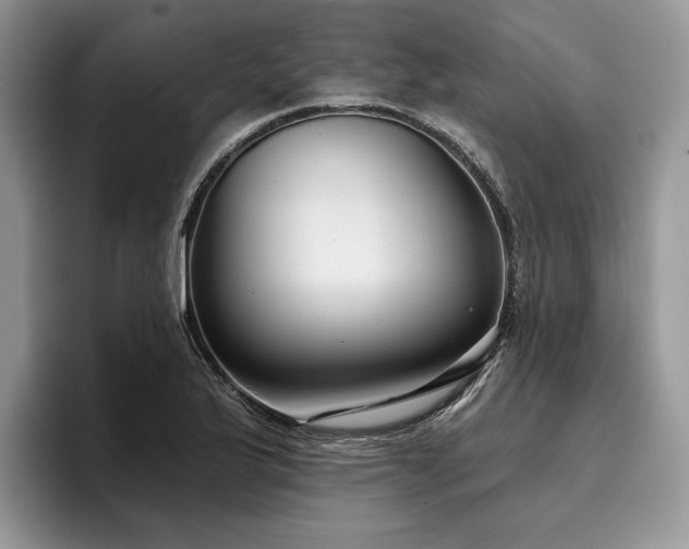 X0000096211175200801181424