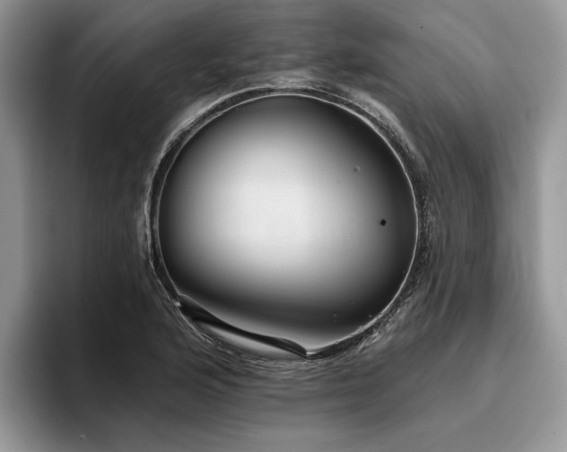 X0000096211176200801181424