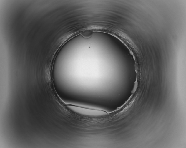 X0000096211177200801181424