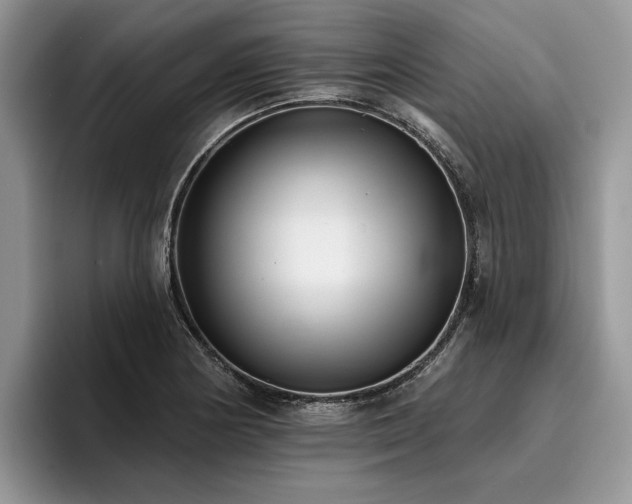 X0000096211178200801181424