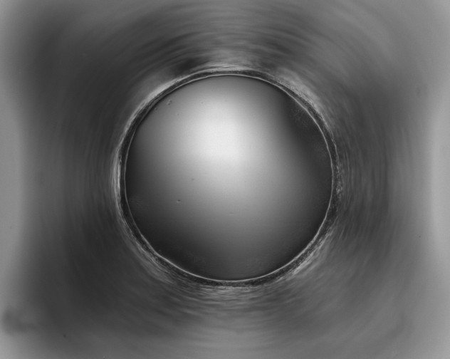 X0000096211179200801181424