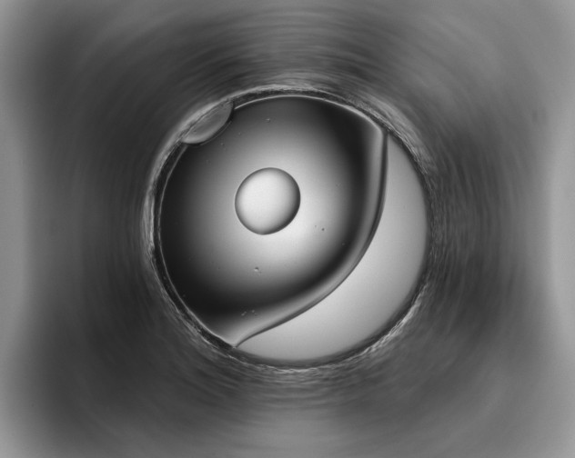 X0000096211180200801181424