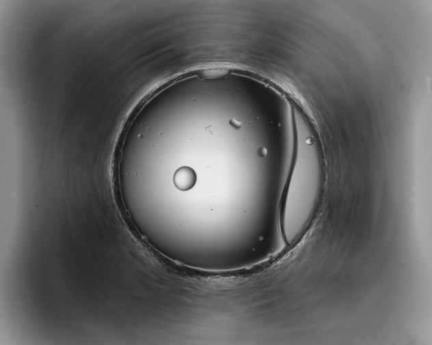 X0000096211181200801181424