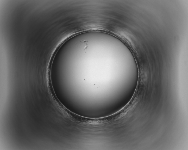 X0000096211182200801181424
