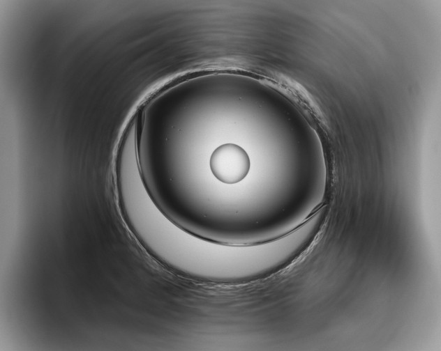 X0000096211184200801181424