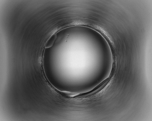 X0000096211185200801181424