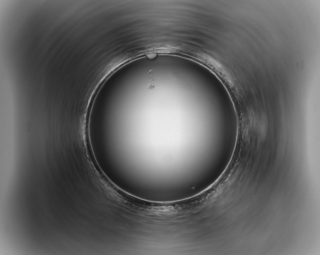 X0000096211186200801181424