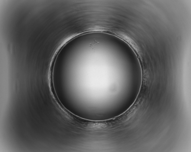 X0000096211187200801181424