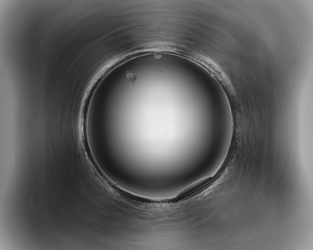 X0000096211188200801181424