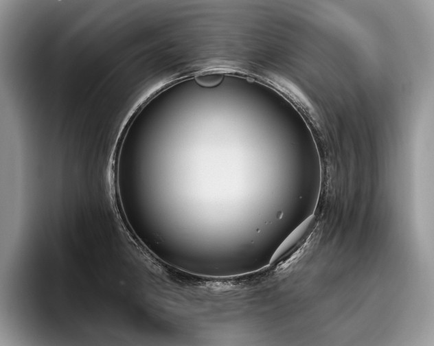X0000096211190200801181424