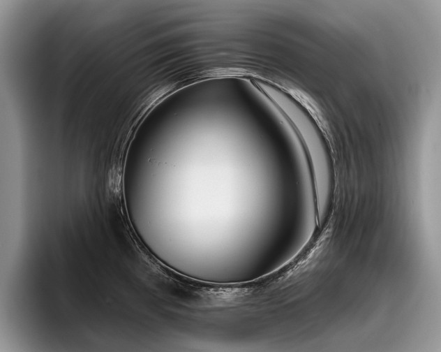 X0000096211193200801181424