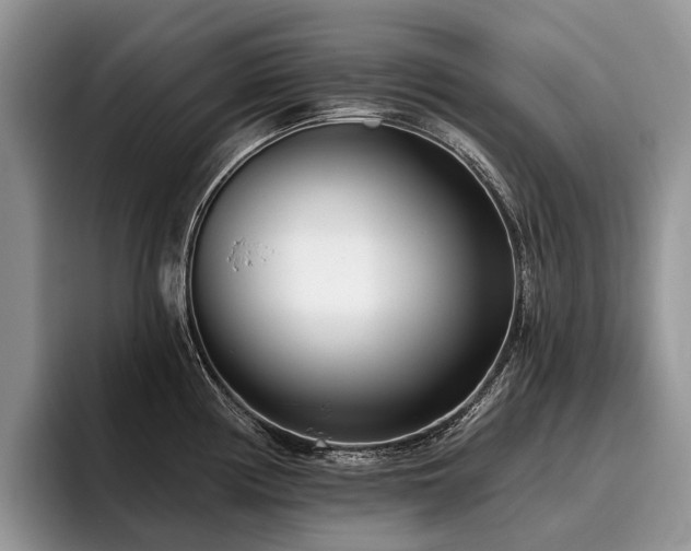 X0000096211194200801181424