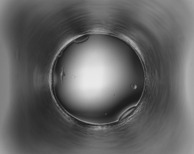 X0000096211195200801181424