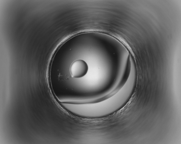 X0000096211197200801181424