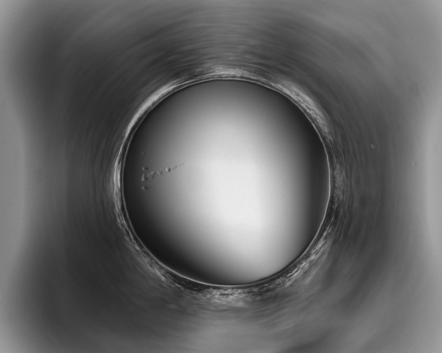 X0000096211198200801181424