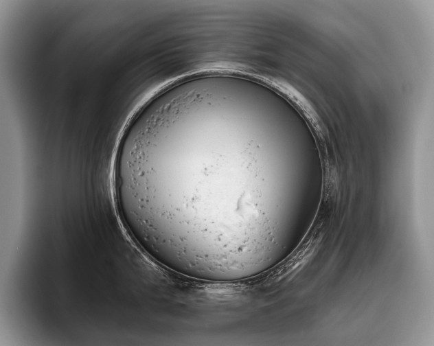 X0000096211199200801181424