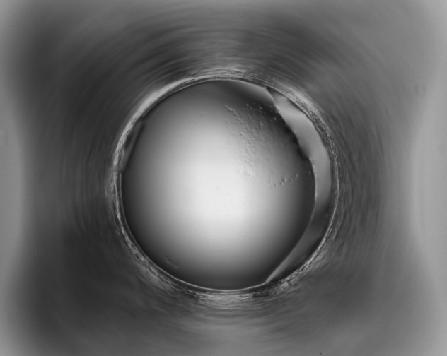 X0000096211200200801181424