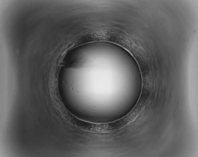 X0000096211201200801181423