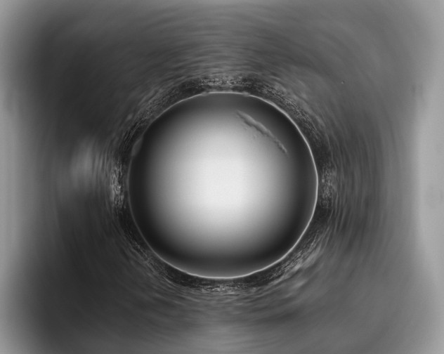 X0000096211202200801181423