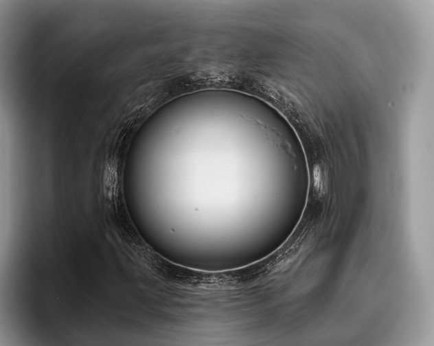 X0000096211203200801181423