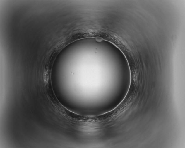 X0000096211204200801181423