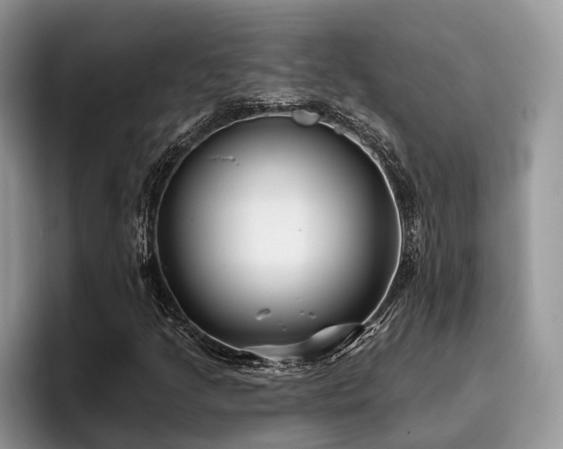 X0000096211205200801181423