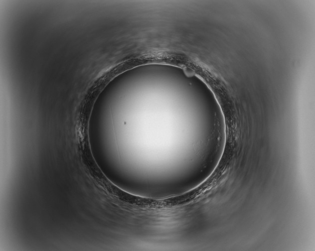X0000096211206200801181423