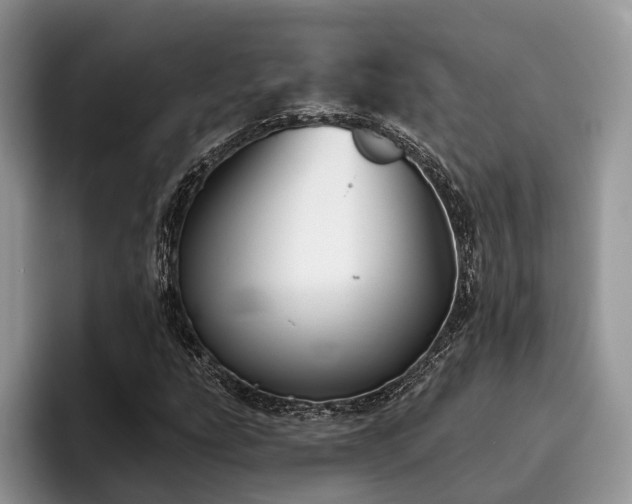 X0000096211207200801181423
