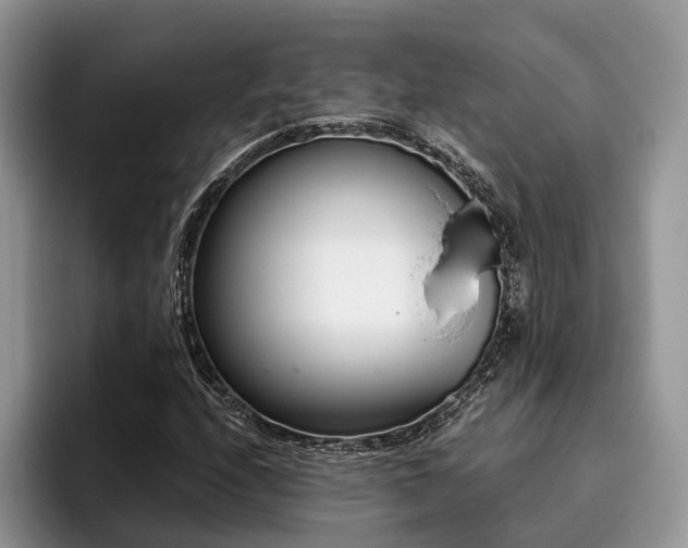 X0000096211208200801181423