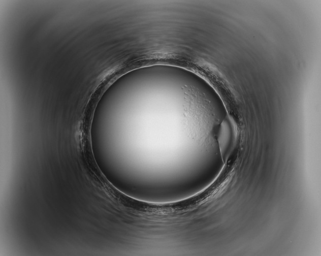 X0000096211210200801181423
