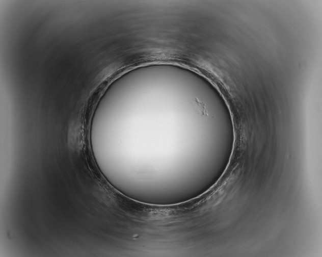X0000096211211200801181423