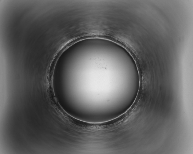 X0000096211212200801181423