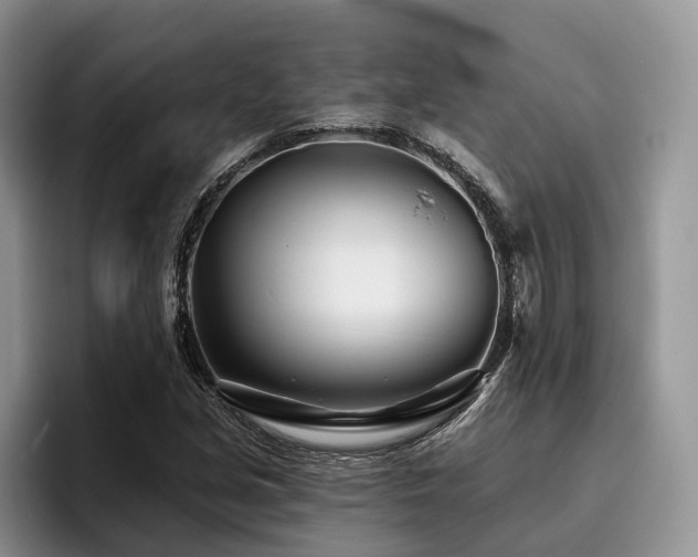 X0000096211213200801181423