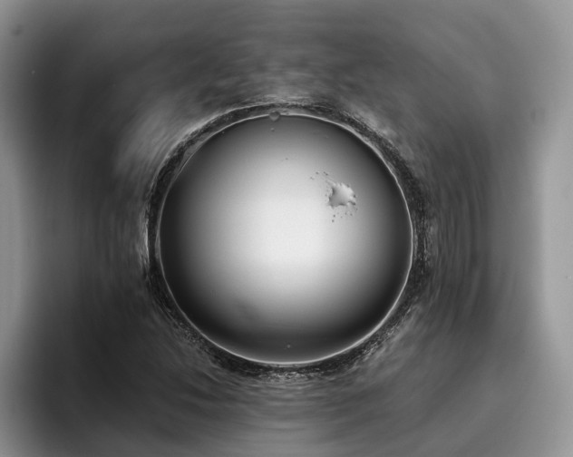 X0000096211214200801181423