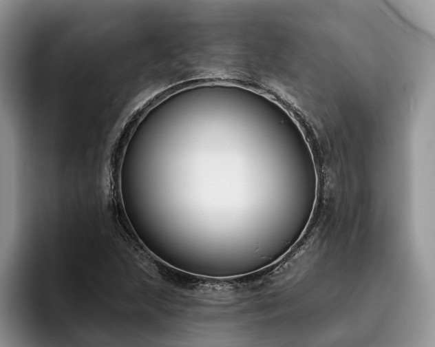 X0000096211215200801181423