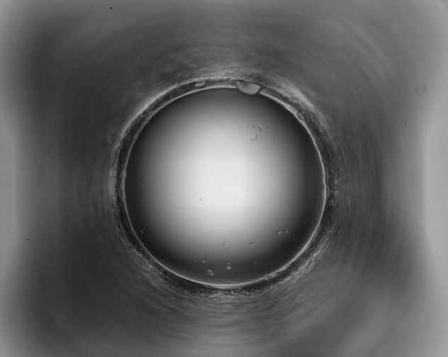 X0000096211216200801181423