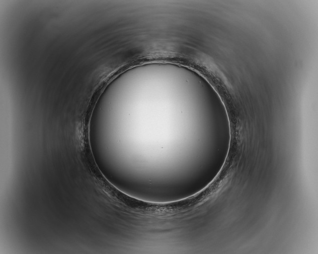 X0000096211217200801181423