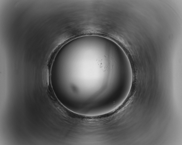 X0000096211219200801181423