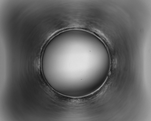 X0000096211220200801181424